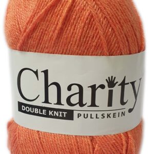 CHARITY D.K 300g-COL.701 PUMPKIN