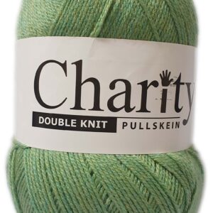 CHARITY D.K 300g-COL.716 AVOCADO