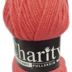 CHARITY PULLSKEIN D.K 100g-COL.205 WATERMELON