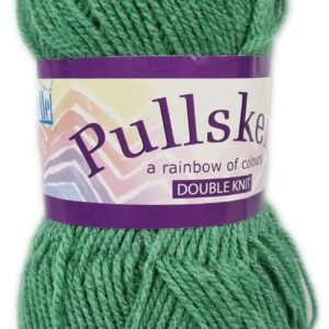 PULLSKEIN D.K 100g- COL.256 FERN