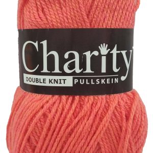 CHARITY PULLSKEIN D.K 100g-COL.751 SQUID