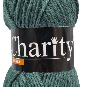 CHARITY CHUNKY 100g-COL.737 CILANTRO