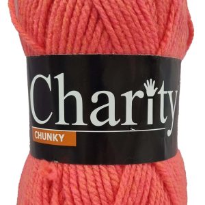 CHARITY CHUNKY 100g-COL.751 SQUID
