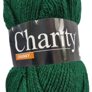 CHARITY CHUNKY 100g-COL.753 SLYTHERIN