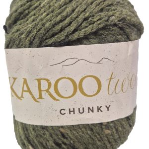 ELLE KAROO TWEED CHUNKY 100g-COL.750 CACTUS