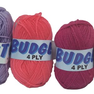 BUDGET 4 PLY 20g